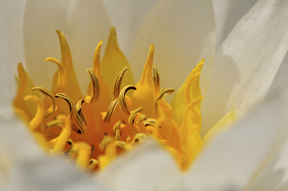 2. Platz Franz Müller